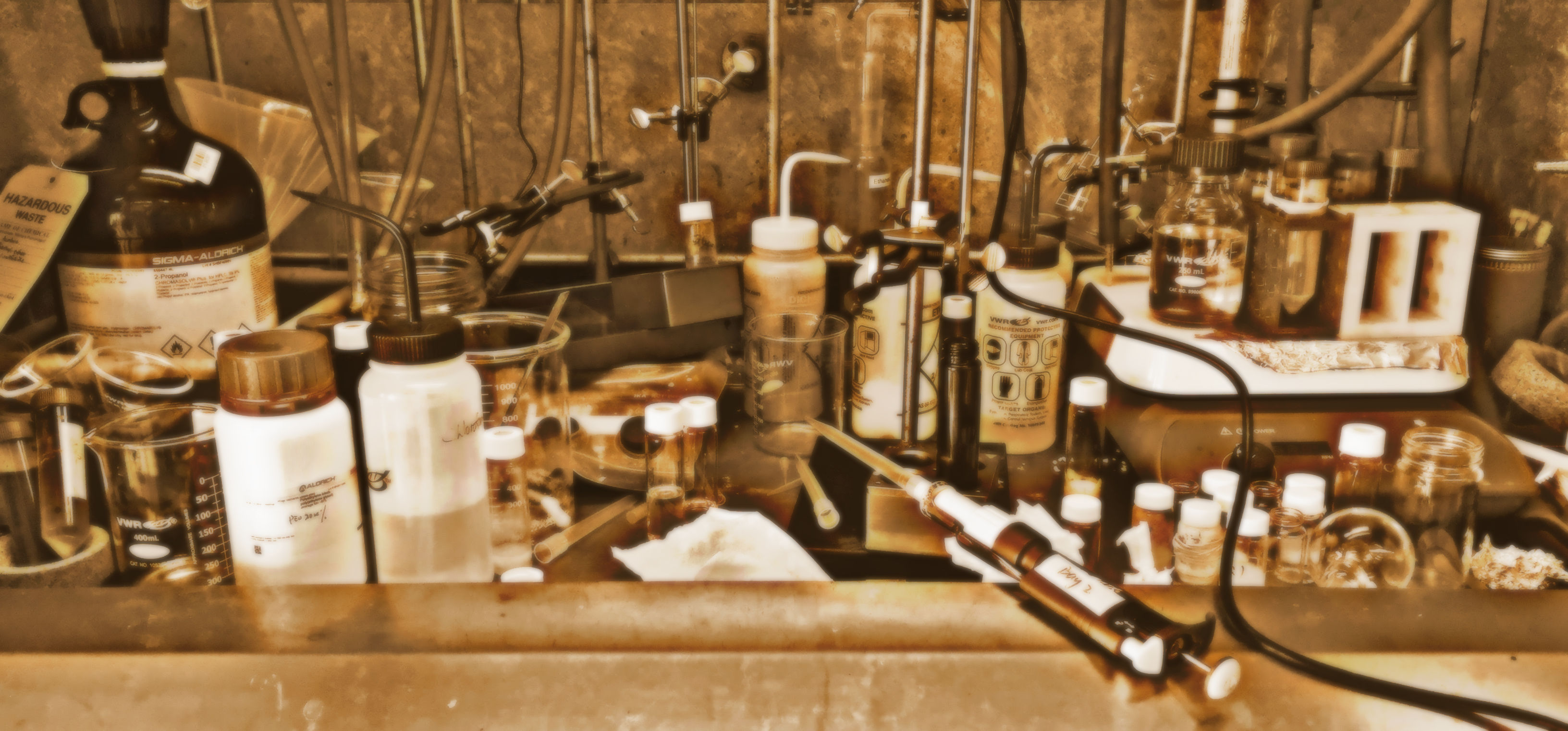 Baseer Lab Research - Bisker Lab